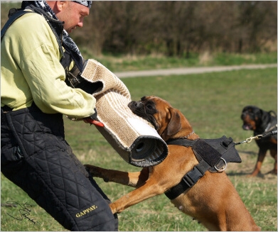 Training in Prague - 2. 4. 2008